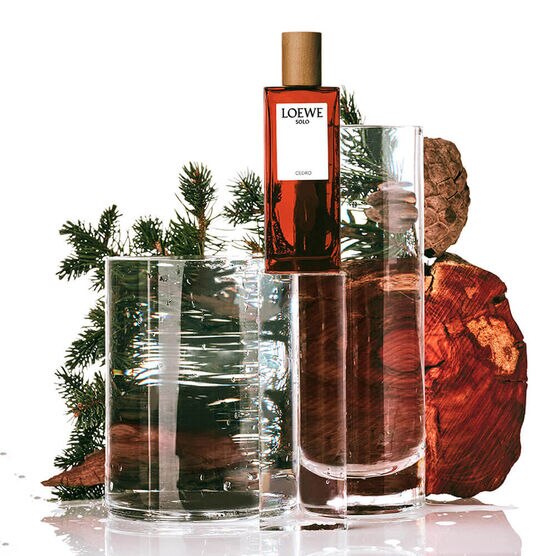 LOEWE      SOLO LOEWE    EDT  100ML